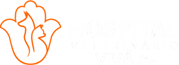 Hospital Veterinário Vivá